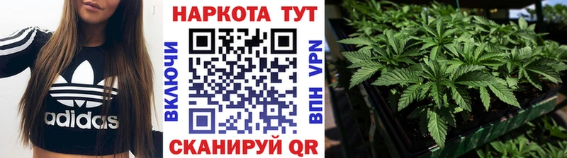 Наркошоп купить Метадон  Бошки Шишки  МЕФ  A-PVP  Гашиш  COCAIN  АМФ  Новотроицк
