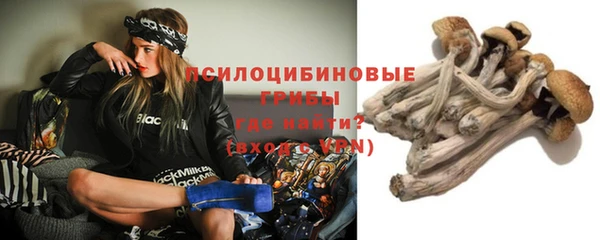 ПСИЛОЦИБИНОВЫЕ ГРИБЫ Волосово