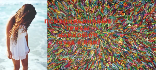 PSILOCYBIN Володарск