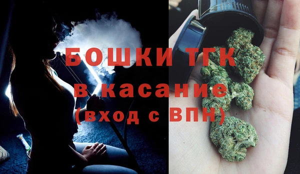 ПСИЛОЦИБИНОВЫЕ ГРИБЫ Волосово