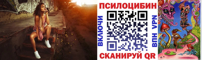 Купить где  Новотроицк  Псилоцибиновые грибы Cubensis 